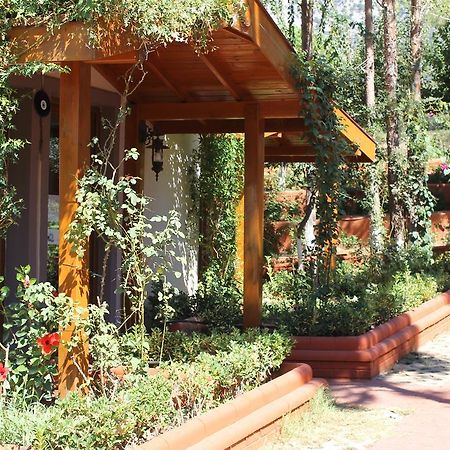 Boncuklu Otel Oludeniz Eksteriør bilde