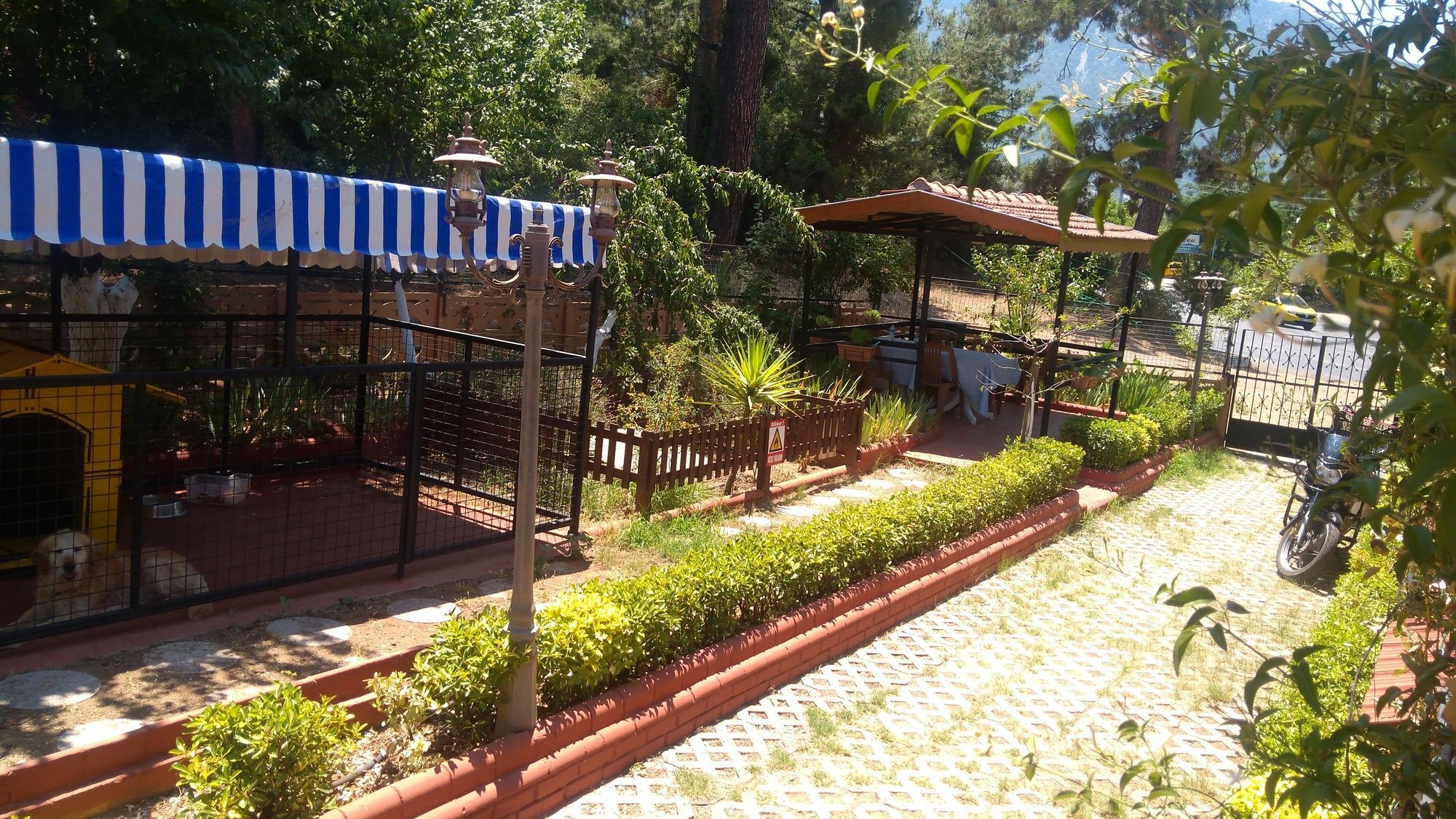 Boncuklu Otel Oludeniz Eksteriør bilde